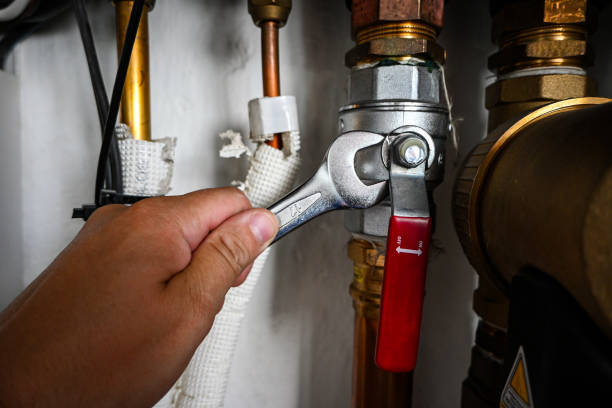Best Clogged Drain Plumber  in Elroy, NC